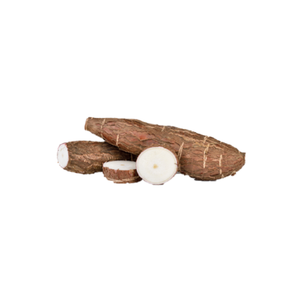 Manioc de Mayotte | Le Douka